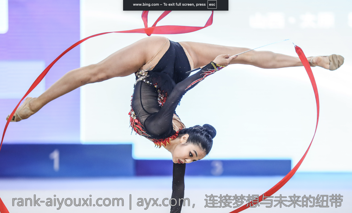 ayx.com，连接梦想与未来的纽带